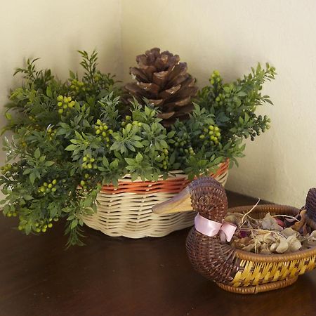 אל פאסו Casa Rural Olga מראה חיצוני תמונה