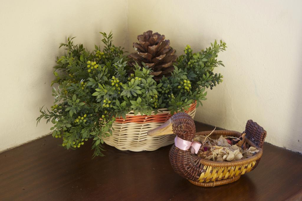 אל פאסו Casa Rural Olga מראה חיצוני תמונה